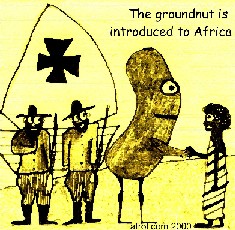 copyright afrol.com 2000