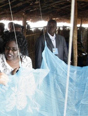Mosquito nets are considered the best protection against malaria