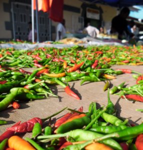Home grown chillies in any quantities and shapes are offered at the Victoria market